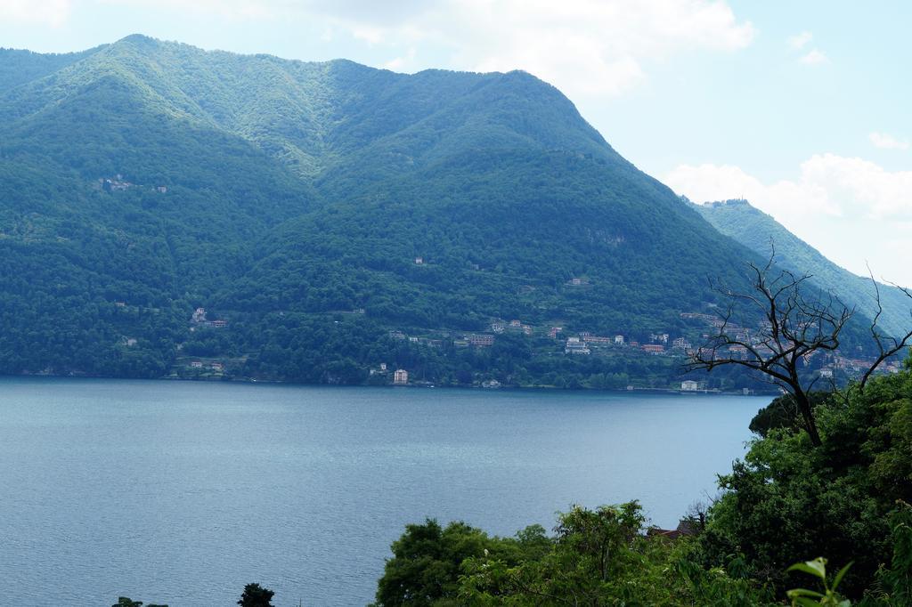 Residenza Andrea Olga Daire Laglio Dış mekan fotoğraf