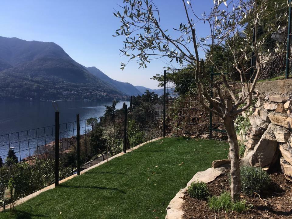 Residenza Andrea Olga Daire Laglio Dış mekan fotoğraf